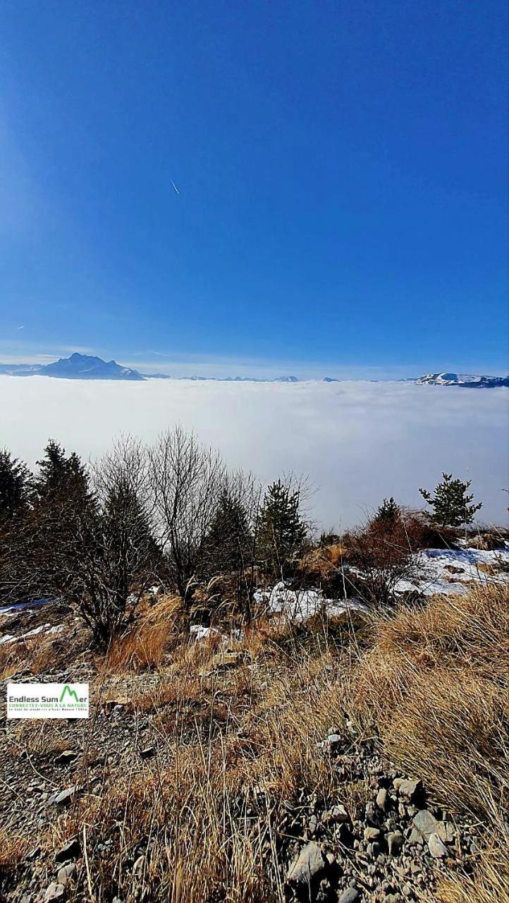 Studio 05 Saint Honore 1500, Vue Montagne Et Lac, 2 Personnes, Serie Anthracite Netflix Exterior foto